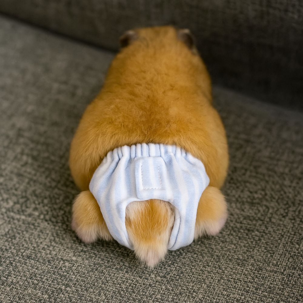 Absorbent Squirrel Diapers Lea - огляд і ціна Period Panty Absorbent